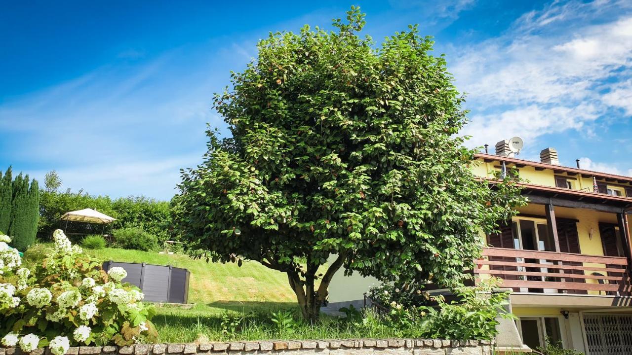 Villa Gardenpark Soleil à Nebbiuno Extérieur photo